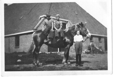 scan0112
Er zijn meer foto's van deze lokatie met paard... waarschijnlijk ergens in de Veldstra familie.
