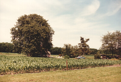 Scan_2024-03-24-0039.jpg