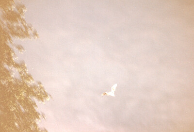 Scan_2024-03-24-0047.jpg